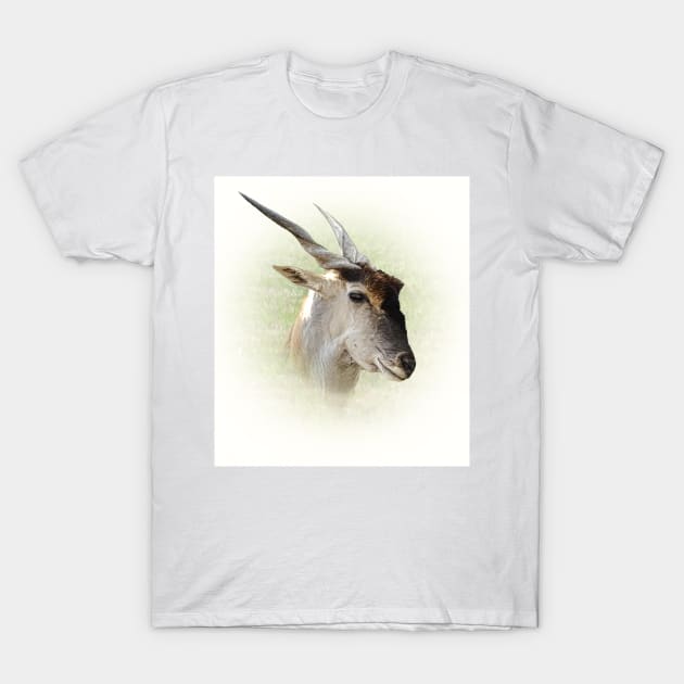 Eland antelope T-Shirt by Guardi